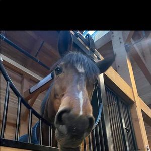 Meet your Posher, Jenniffer